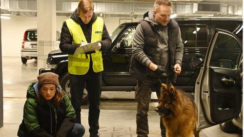 Komisarz Alex Season 18 Episode 3 - Episode 3