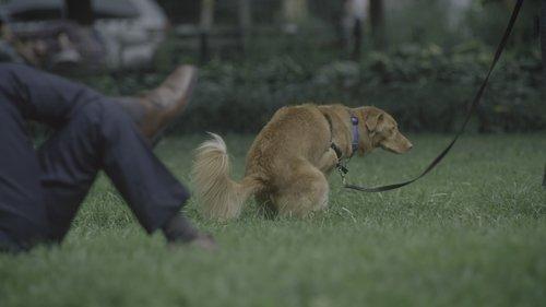 Mozart in the Jungle Season 1 Episode 3 - Silent Symphony