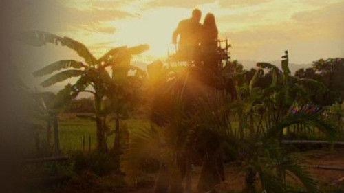 The Bachelor Season 17 Episode 12 - Season Finale