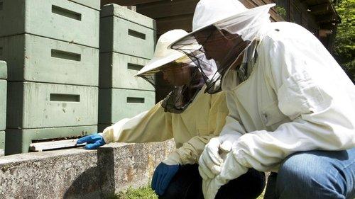 Anna und die wilden Tiere Season 1 Episode 3 - Episode 3