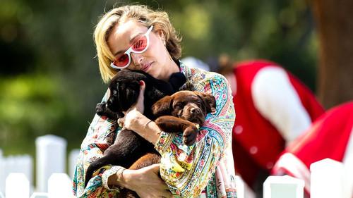 The Celebrity Apprentice Australia Season 5 Episode 7 - Puppy Video