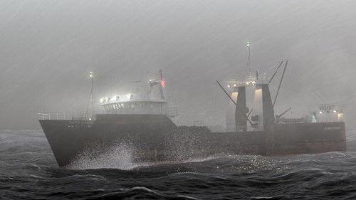 Background image for Shipwrecked In Alaska