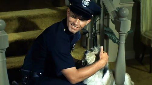 Adam-12 Season 1 Episode 12 - Log  61: The Runaway