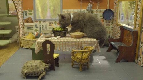 Poesjes Season 1 Episode 9 - Episode 9