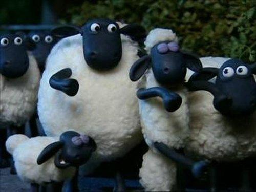Shaun the Sheep Season 1 Episode 30 - Sheepwalking