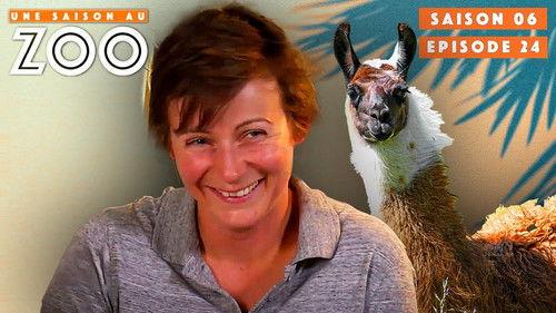Une saison au zoo Season 6 Episode 24 - Episode 24