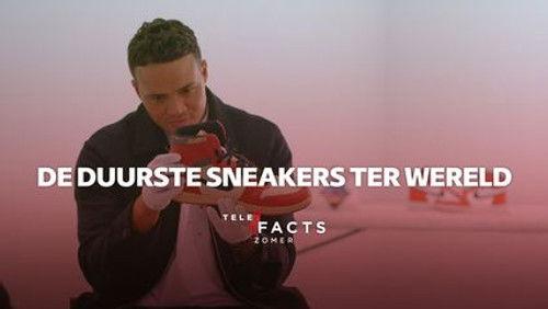 Telefacts Zomer Season 1 Episode 23 - Episode 23