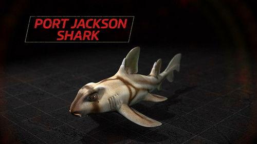 Kings of Pain Season 2 Episode 9 - Stinging Sharks