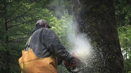 Port Protection Alaska Season 1 Episode 6 - Tree vs. Truck