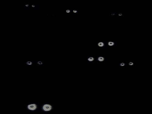 The Chronicles of Narnia Season 3 Episode 2 - The Silver Chair (2)