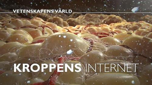 Vetenskapens värld Season 47 Episode 17 - Episode 17