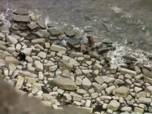 undefined Season 1 Episode 2 - 15 November 1985