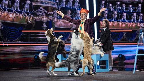 Romania's Got Talent Season 16 Episode 17 - Episode 17