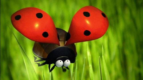 Minuscule: The Private Life of Insects Season 1 Episode 1 - The Ladybug