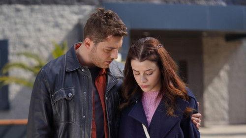 Street Birds Season 2 Episode 27 - Episode 48