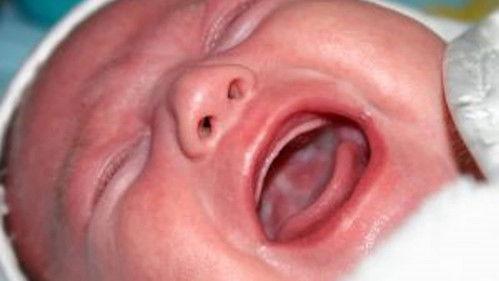 Zembla Season 14 Episode 13 - Oude moeders