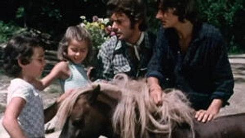 Poly Season 8 Episode 12 - Episode 12