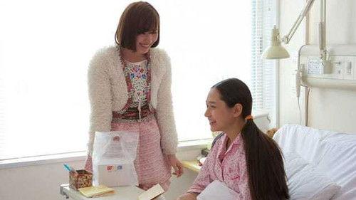 Doubutsu Sentai Zyuohger Season 1 Episode 14 - The Foolish Lying Thief