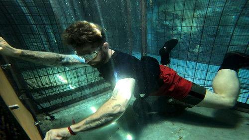 I'm a Celebrity...Get Me Out of Here! Season 25 Episode 10 - Episode 10