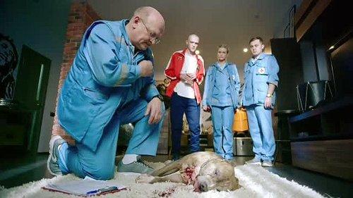 Dr. Driver Season 1 Episode 11 - Episode 11