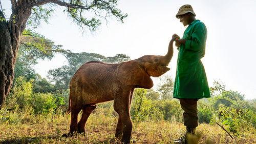 undefined Season 1 Episode 5 - Humans