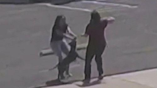 Crimes Gone Viral Season 2 Episode 6 - Vicious Abductions