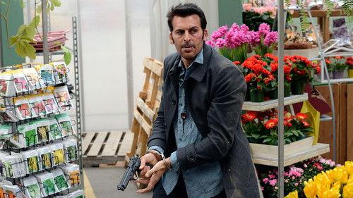 undefined Season 3 Episode 16 - Lady Stardust