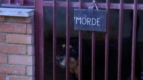 Operazione N.A.S. Season 1 Episode 12 - Episode 12