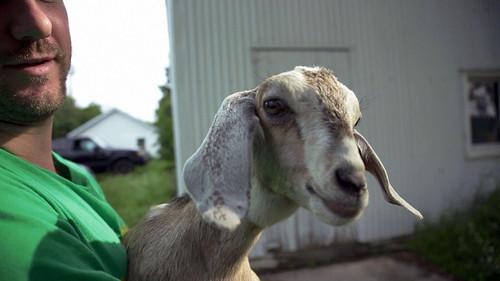 Wisconsin Foodie Season 5 Episode 4 - Door County Creamery | Door County Brewery