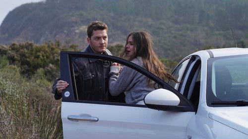 Street Birds Season 2 Episode 25 - Episode 46