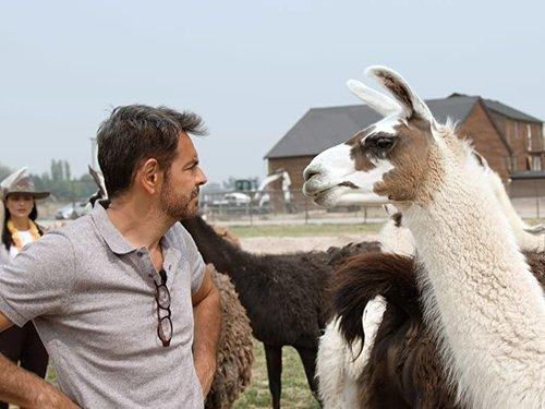 De viaje con los Derbez Season 2 Episode 3 - Episode 3