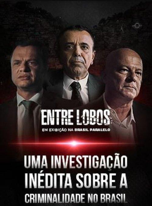 Entre Lobos poster