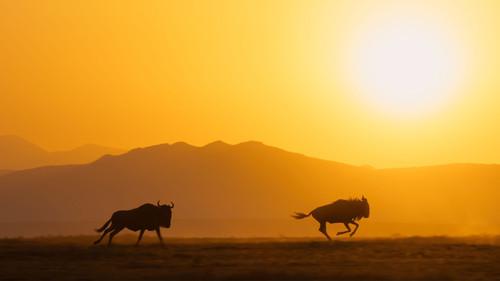 undefined Season 1 Episode 2 - The Sun