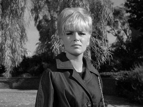 Perry Mason Season 9 Episode 12 - The Case of the Fugitive Fraulein