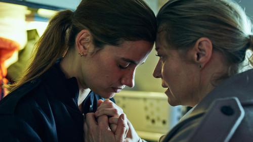 Background image for The Normal House