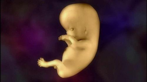 NOVA Season 28 Episode 17 - Harvest of Fear