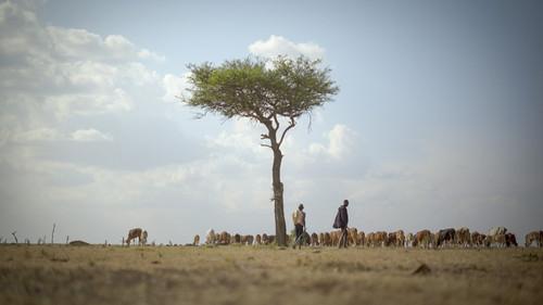 Overbooked Season 1 Episode 3 - The Environmental Impacts