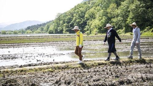 2 Days and 1 Night Season 3 Episode 345 - Déjà-Vu Trip (2)