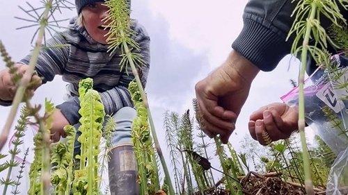 Homestead Rescue Season 7 Episode 6 - Future Of The Forty