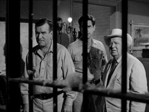 undefined Season 1 Episode 24 - The Star Juror