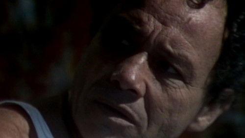 Corpo a Corpo Season 1 Episode 14 - Chapter 14