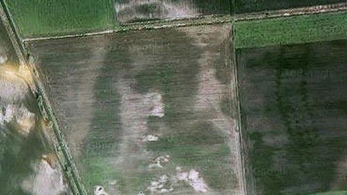 What on Earth? Season 2 Episode 5 - Curse of the Lost Kingdom