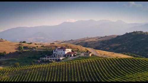 Background image for Riesling