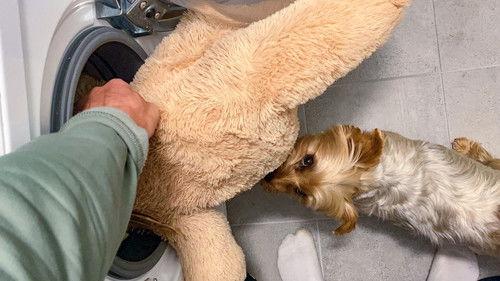 From bully to best friend Season 2 Episode 4 - Episode 4