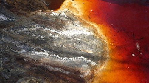 Toxic Tour Season 1 Episode 3 - Episode 3