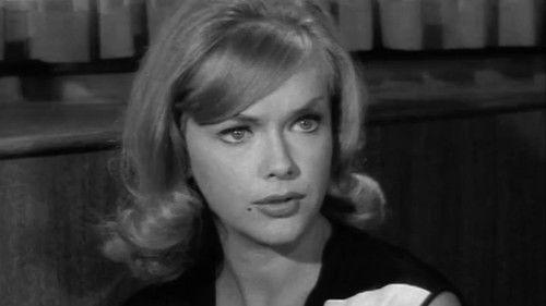 Honey West Season 1 Episode 4 - A Matter of Wife and Death