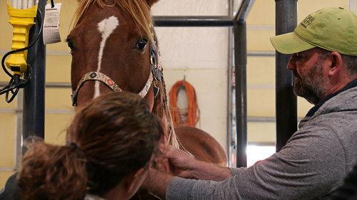 Background image for Foal New World