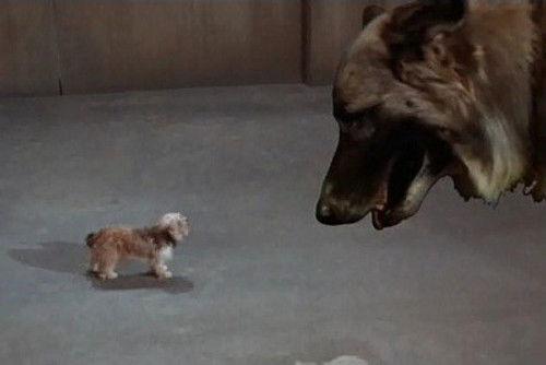 Land of the Giants Season 2 Episode 8 - Every Dog Needs a Boy