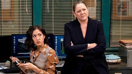 Law & Order Season 22 Episode 21 - Appraisal