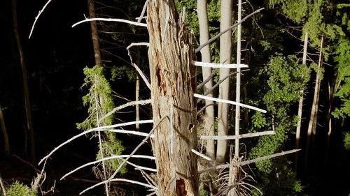 42 – The Answer to Almost Everything Season 1 Episode 17 - Episode 17